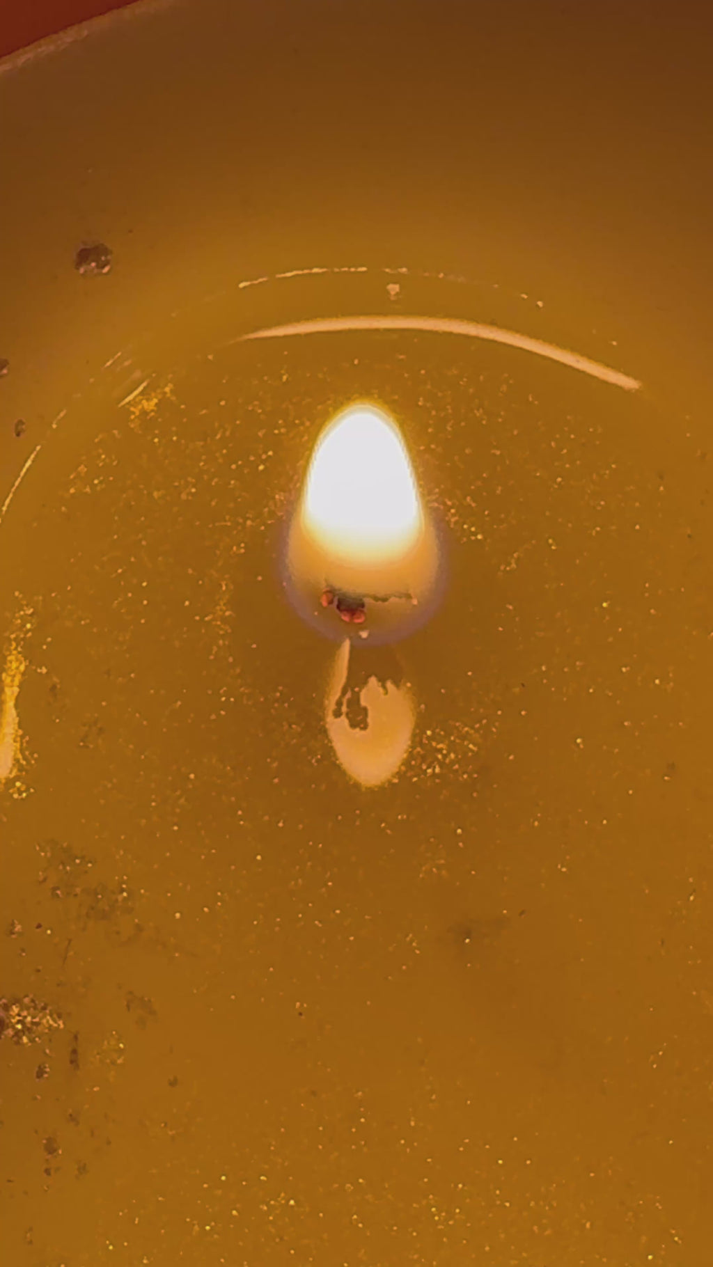 12 ounce Guava Pineapple Coconut Soy Candle