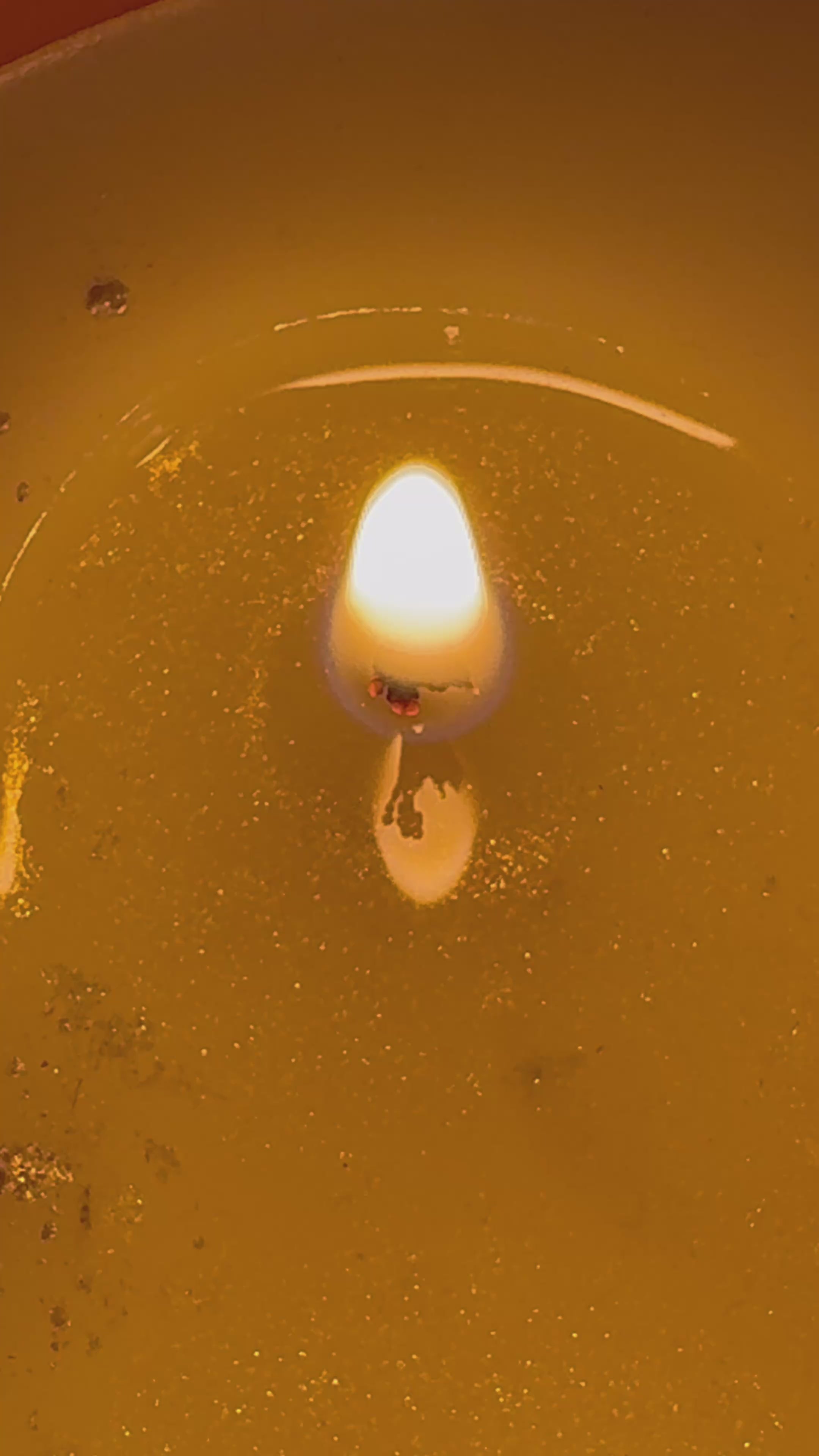 12 ounce Guava Pineapple Coconut Soy Candle